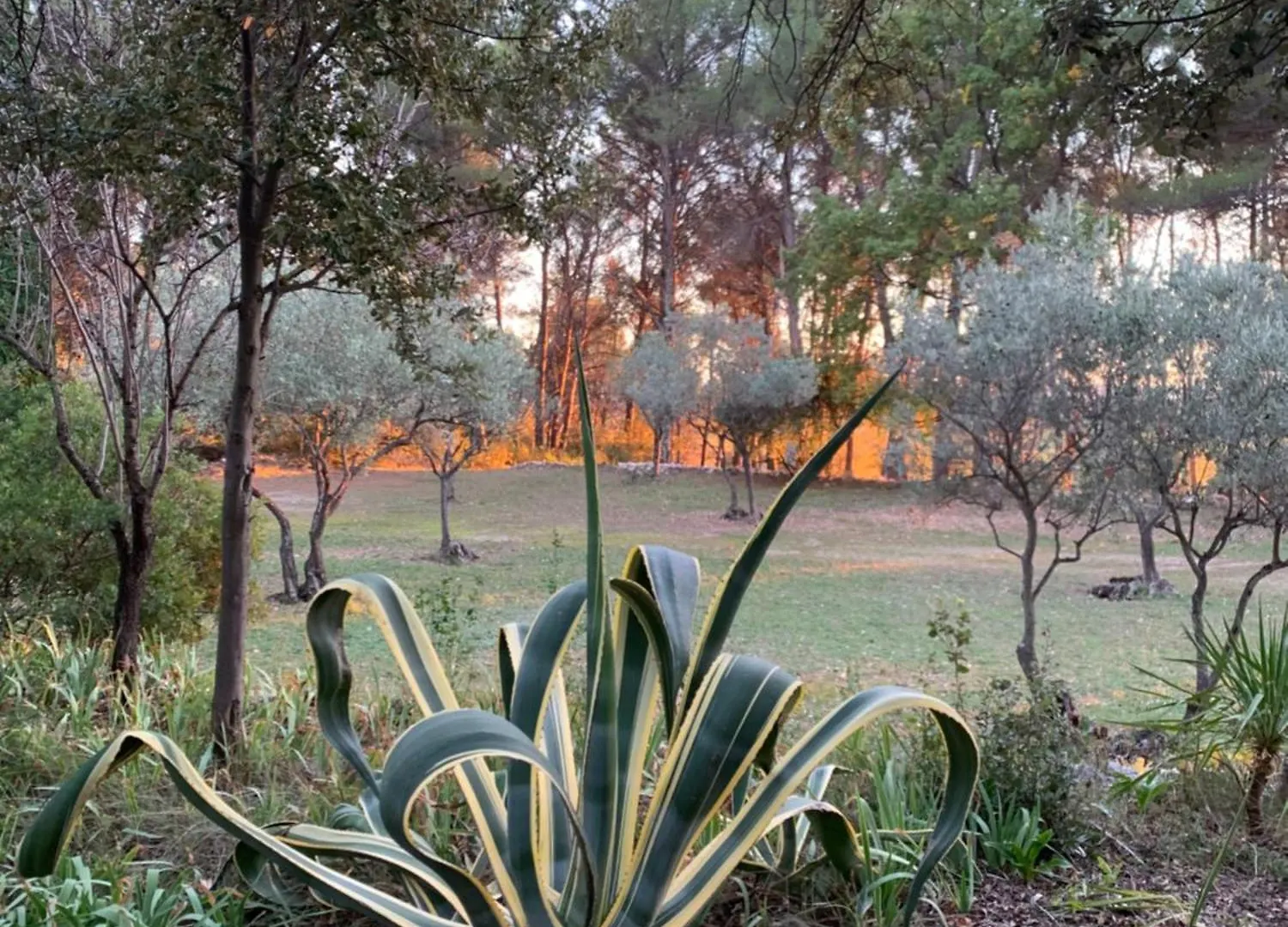 Villa Tourmarin A Flayosc